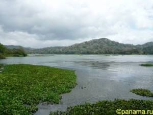 Природа Панамы. Часть №1