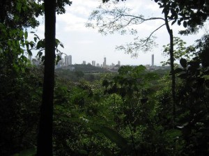 view-of-downtown-panama