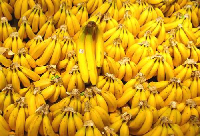 Российская компания заинтересована в инвестициях в банановую отрасль Панамы