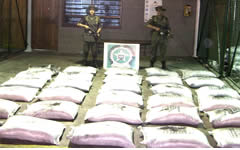 В панамской провинции Чирики накрыли наркокартель.